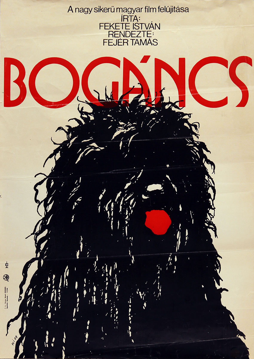 Bogáncs - borítókép